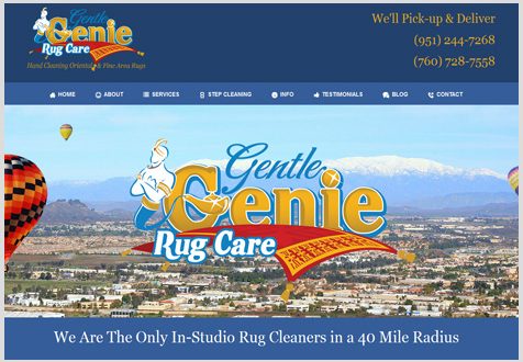 Gentle Genie Rug Care
